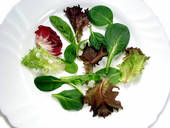  Diet Vegetarian - Berat Badan Turun
